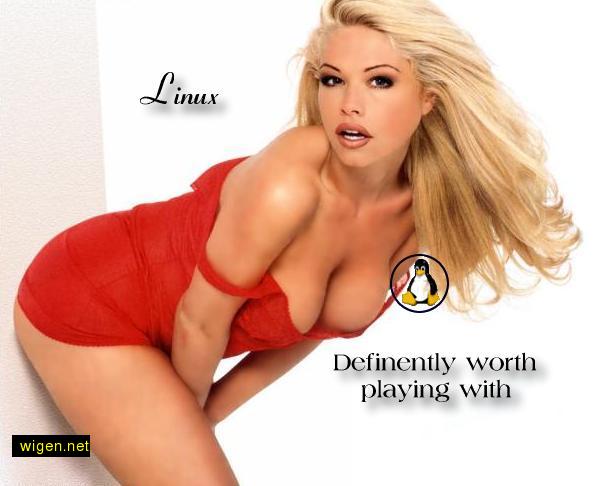 linux42.jpg