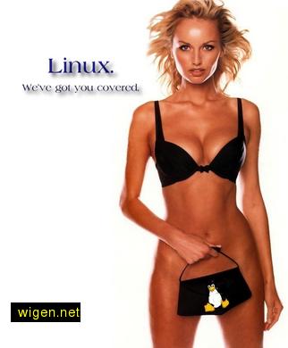 linuxbabe2.jpg