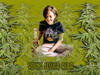 potbackround.jpg