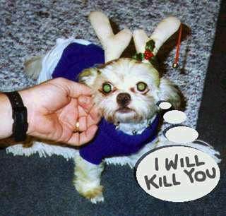Funny picture of the day