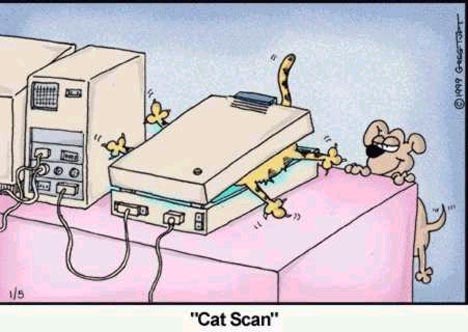 Funny picture of the day