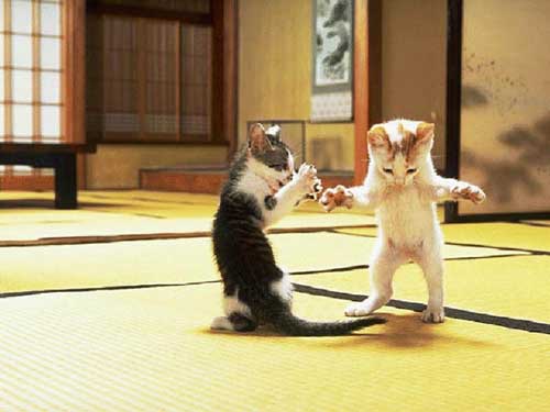 Funny picture of the day